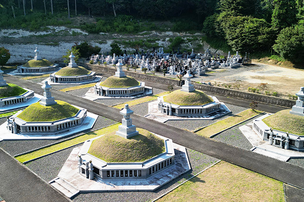 TERRAIDと高蔵寺