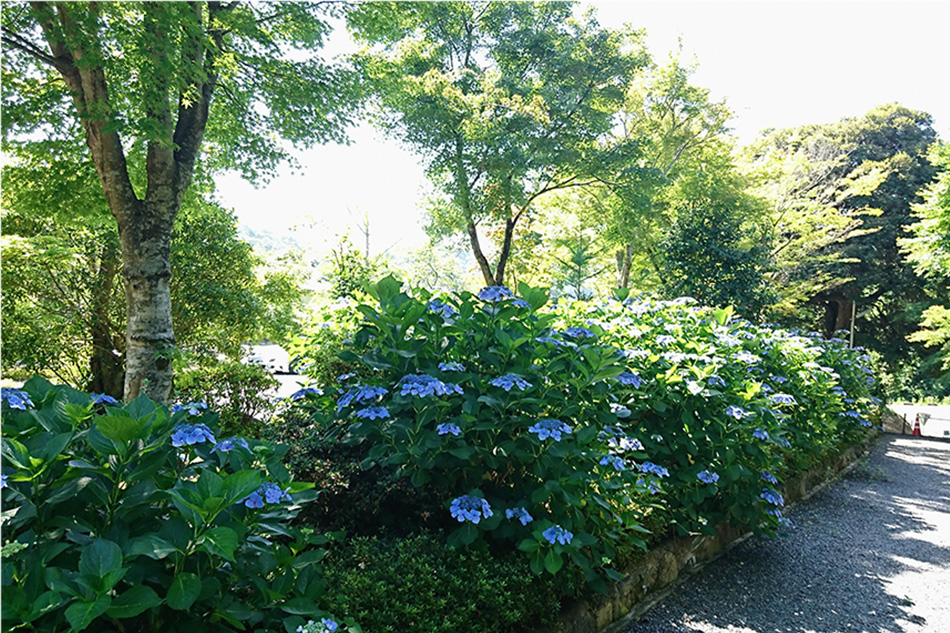 海雲山 高蔵寺